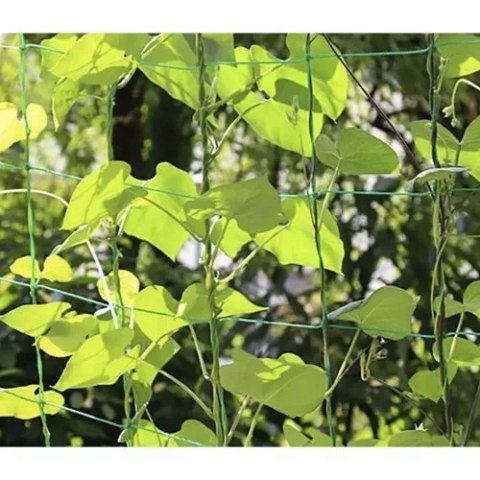 Siatka do Roślin Podpora Podtrzymywania 2x20m na Ogórki Pnącza Fasoli Pnące