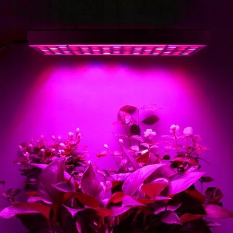 Lampa do Wzrostu Roślin Panel do Uprawy 225 LED + Liny Mocna 36W Wisząca Lampa do Wzrostu Roślin Panel do Uprawy 225 LED + Liny Mocna 36W Wisząca