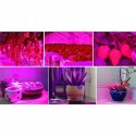 Lampa do Wzrostu Roślin Panel do Uprawy 225 LED + Liny Mocna 36W Wisząca