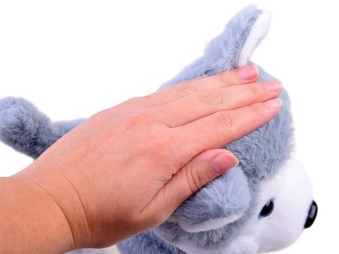 INTERAKTYWNY PIESEK HUSKY CHODZI NA SMYCZY SZCZEKA INTERAKTYWNY PIESEK HUSKY CHODZI NA SMYCZY SZCZEKA