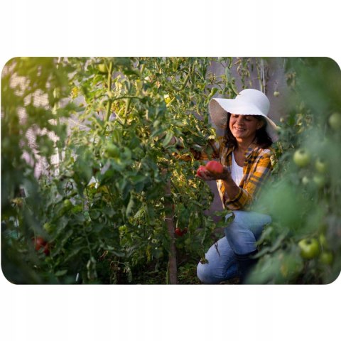 BEMI TUNEL FOLIOWY OGRODOWY SZKLARNIA 300x200x200cm 6m2 OKNA RÓŻOWY