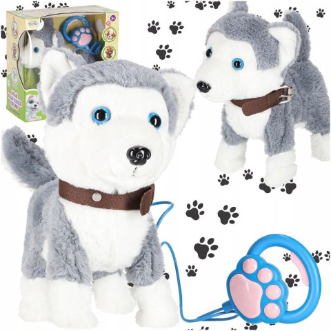 Interaktywny Piesek Husky na Smyczy Chodzi Szczeka Rusza Ogonem