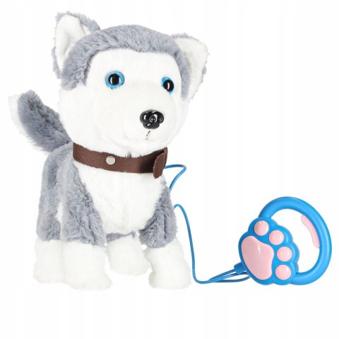 Interaktywny Piesek Husky na Smyczy Chodzi Szczeka Rusza Ogonem