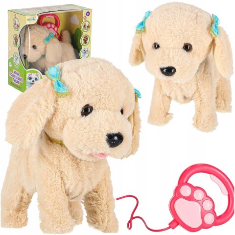 Interaktywny Piesek Pudel na Smyczy Chodzi Szczeka Rusza Ogonem