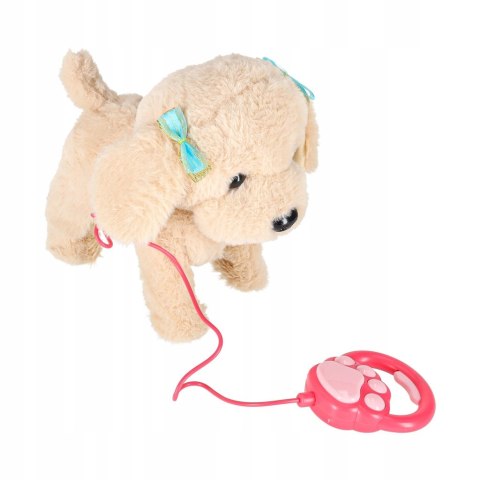 Interaktywny Piesek Pudel na Smyczy Chodzi Szczeka Rusza Ogonem