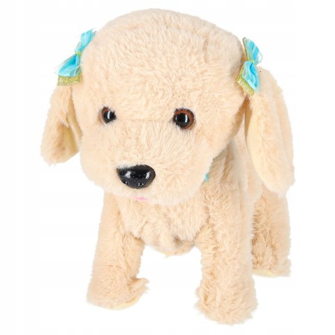 Interaktywny Piesek Pudel na Smyczy Chodzi Szczeka Rusza Ogonem