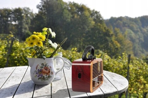 RADIO KUCHENNE PRZENOŚNE RETRO NA BATERIE SOLARNE BLUETOOTH ANTENA UCHWYT