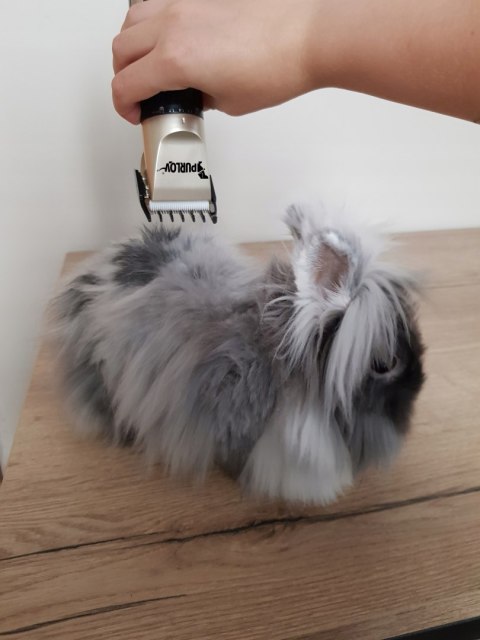 Cicha Bezprzewodowa Maszynka do Strzyżenia Psów Zwierząt Mocna Cicha Bezprzewodowa Maszynka do Strzyżenia Psów Zwierząt Mocna